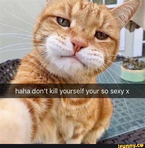 no dont kill yourself youre too sexy|Know Your Meme: Internet Meme Database